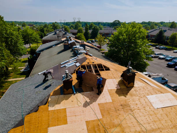 Best Metal Roofing Contractor  in Nutter Fort, WV