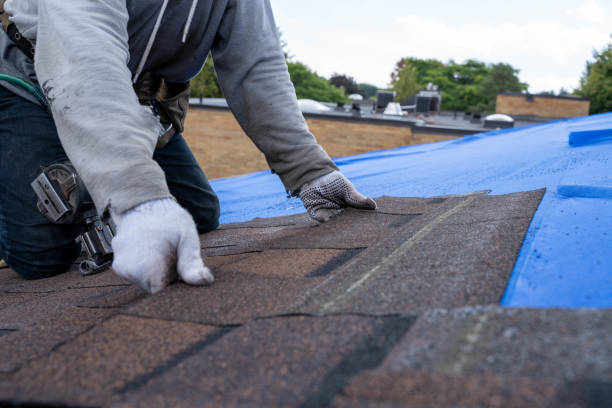 Best Roof Repair Services  in Nutter Fort, WV