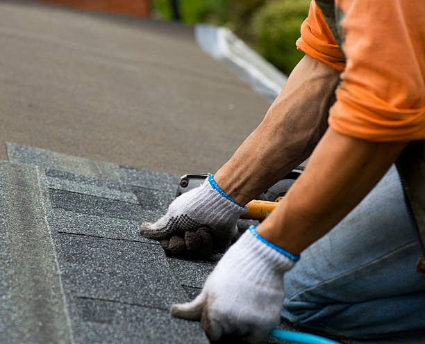 Best Roof Gutter Cleaning  in Nutter Fort, WV