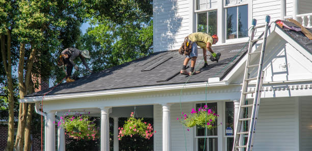 Best Storm Damage Roof Repair  in Nutter Fort, WV
