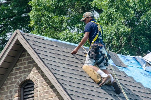 Roof Waterproofing Services in Nutter Fort, WV